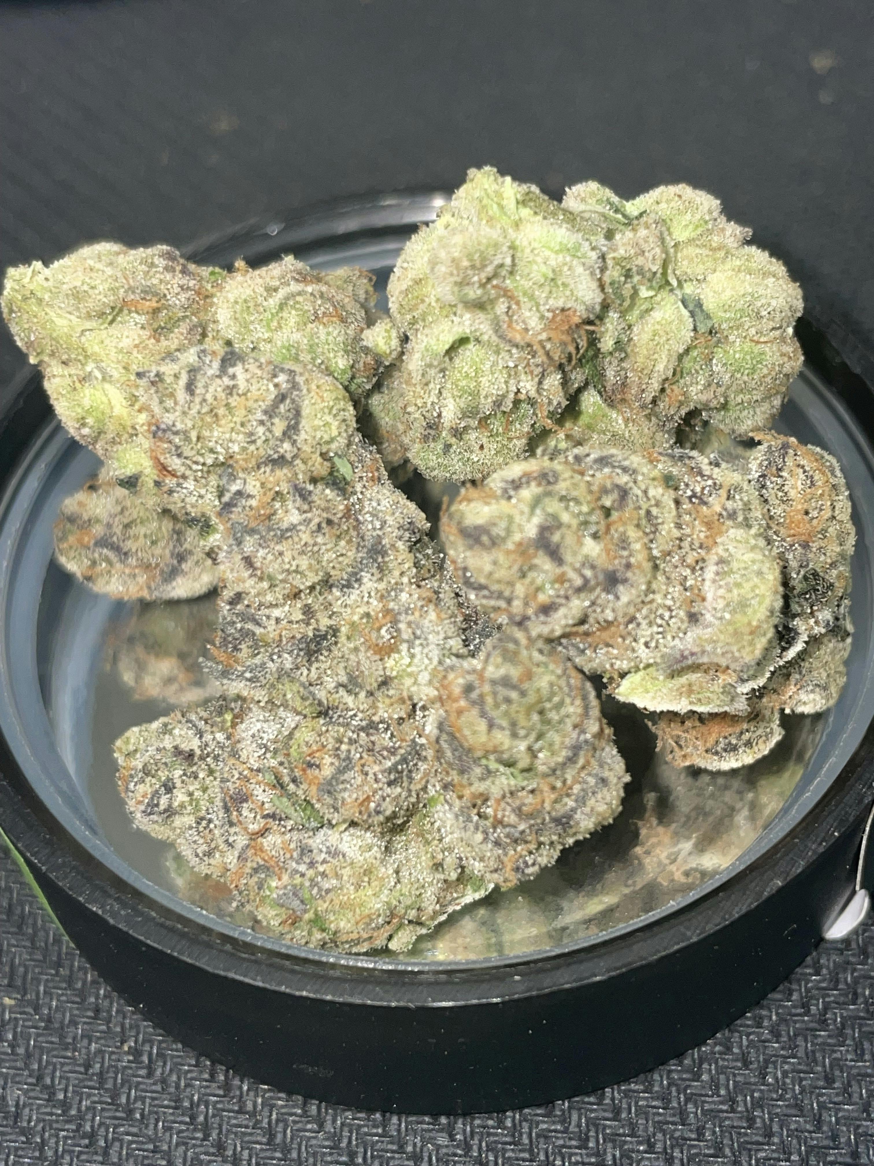 EVOK: PIE SCREAM 3.5G
