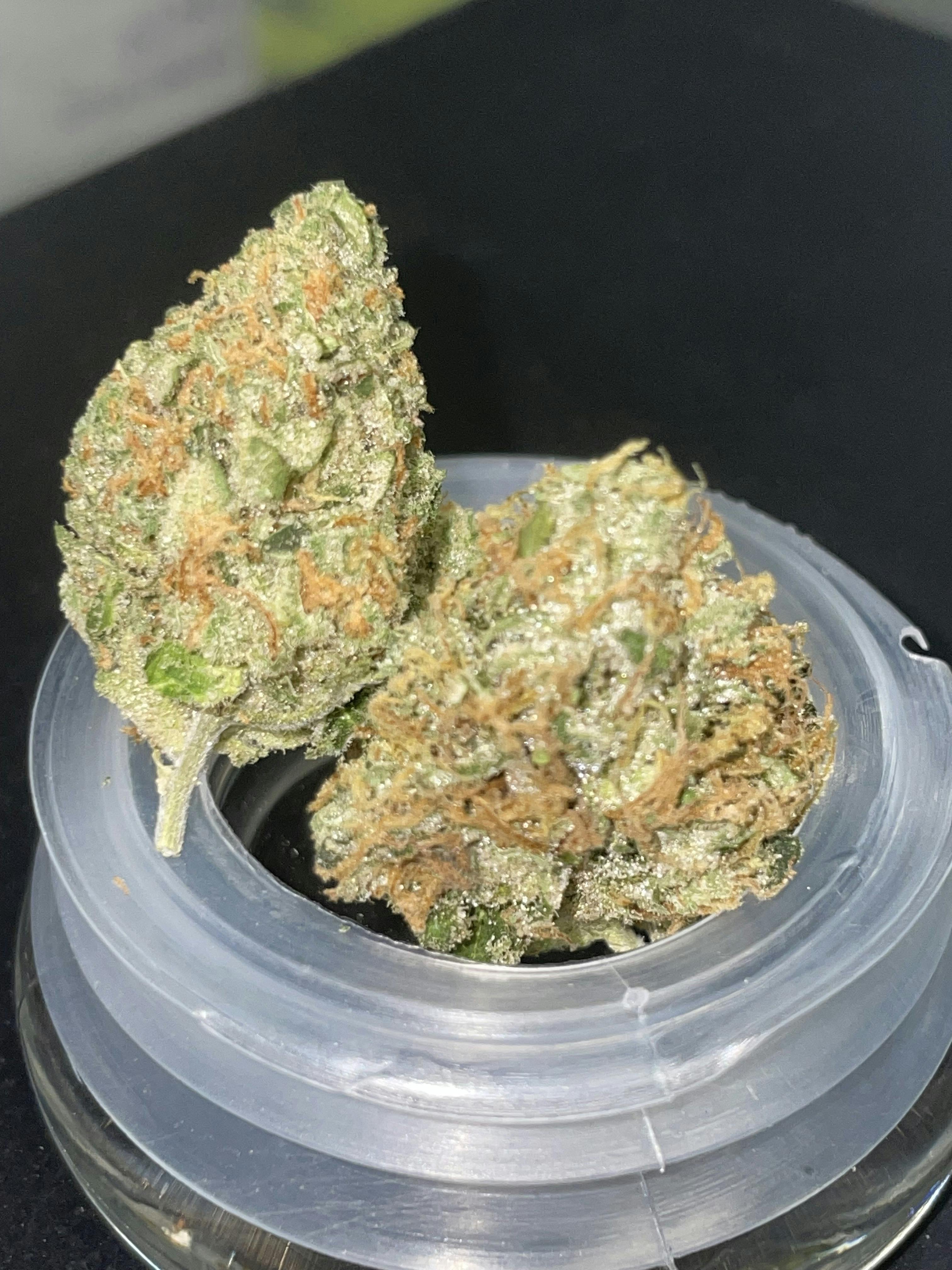 Lemon Skunk | Buds | 3.5g