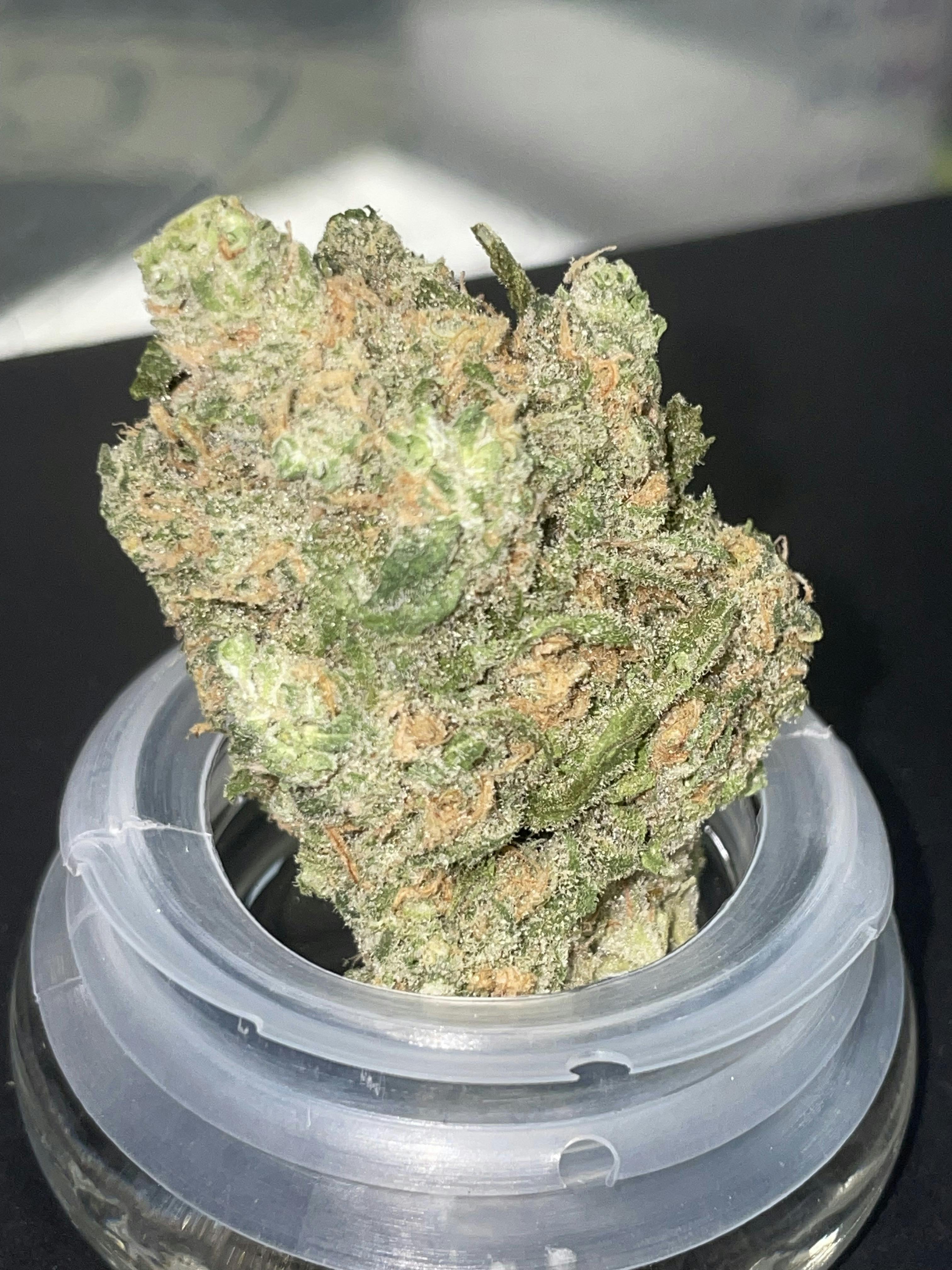 ELITE: BLUE DREAM 3.5G