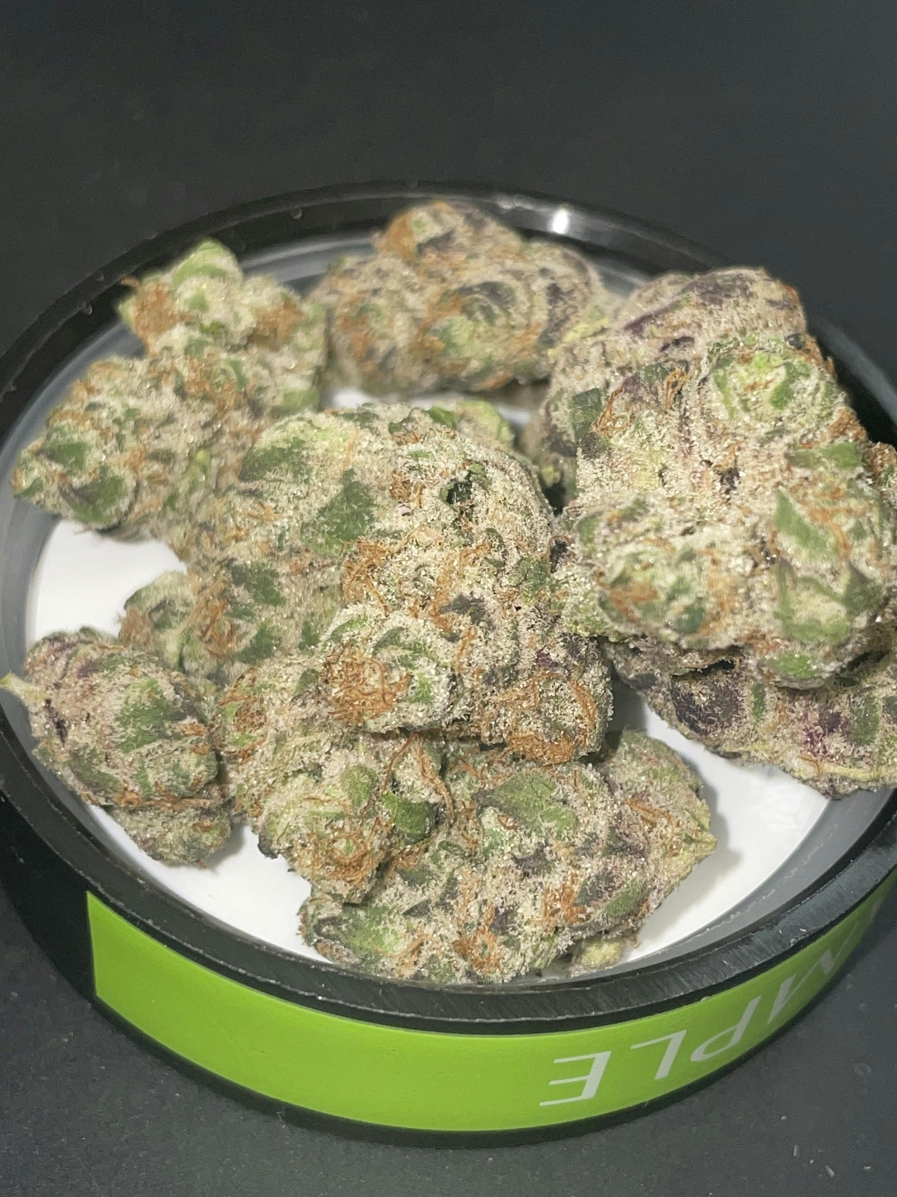 EVOK: GELATOMO 3.5G