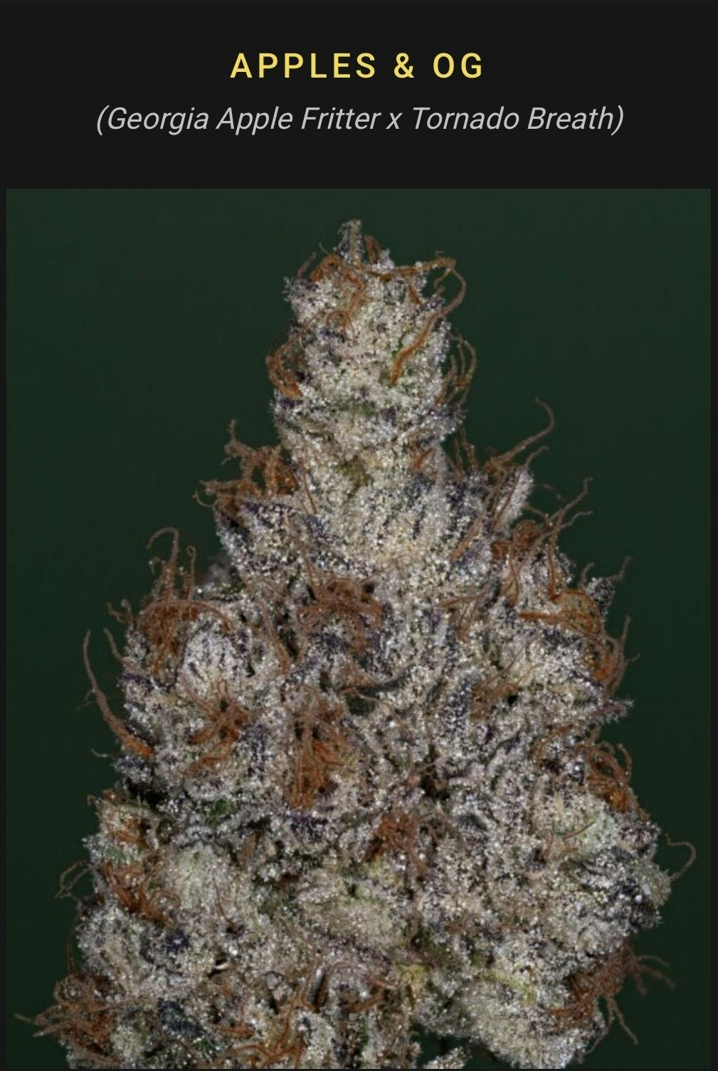 Apples N Og