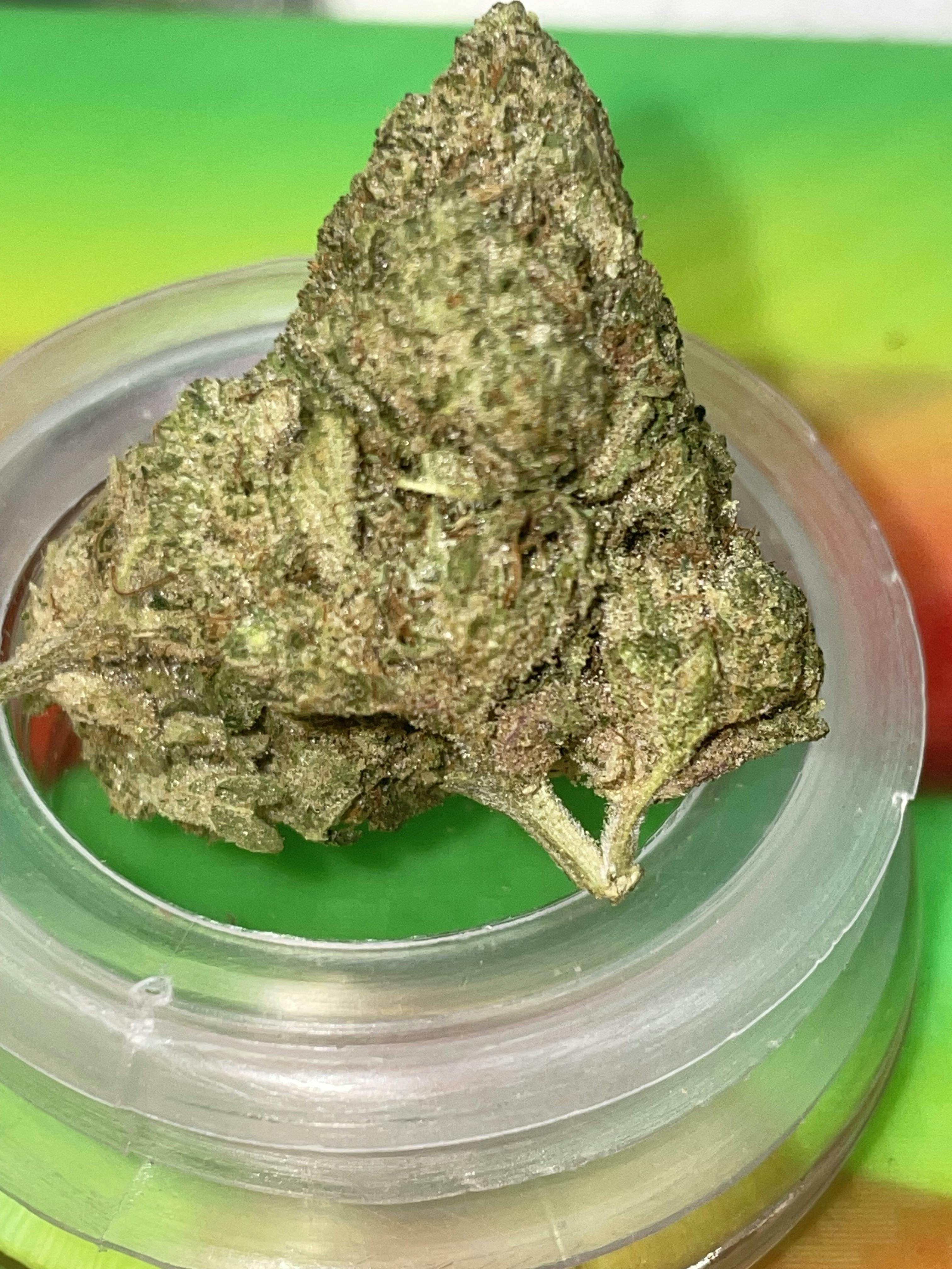 ELITE: GELATO CAKE 3.5G