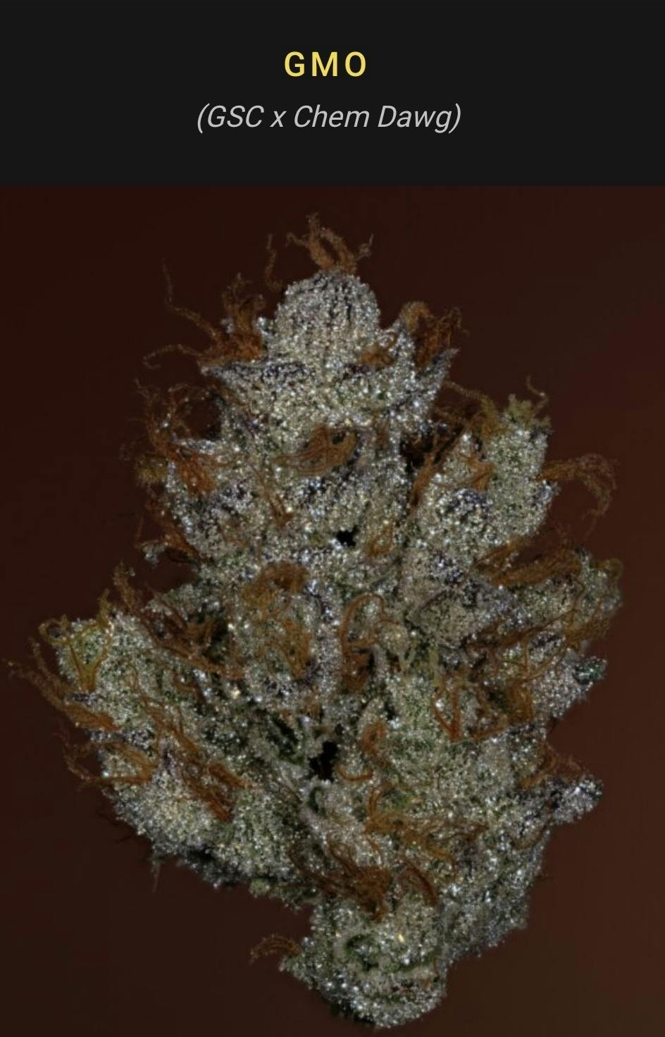 GMO | 3.5g