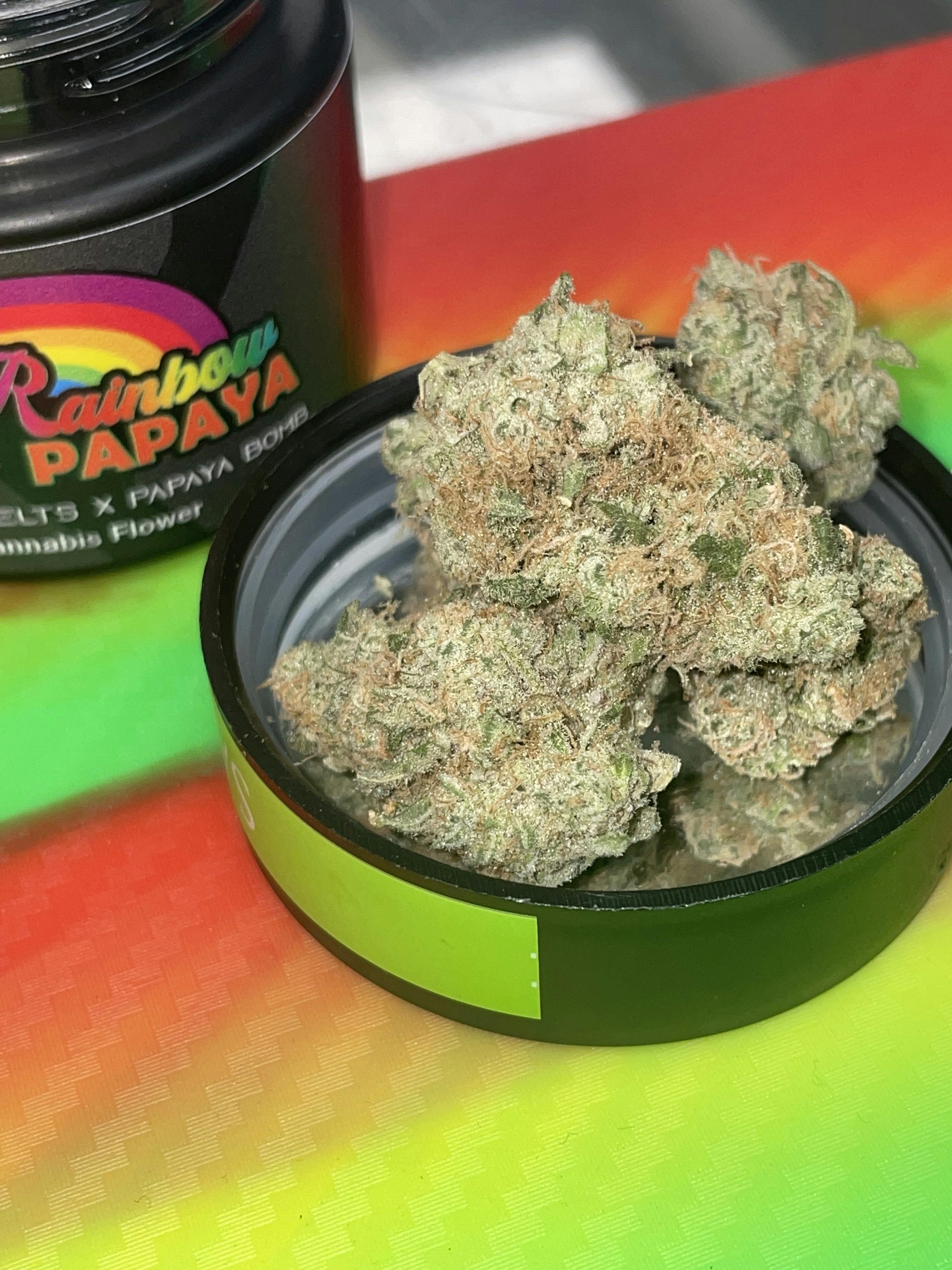 EVOK: RAINBOW PAPAYA 3.5G