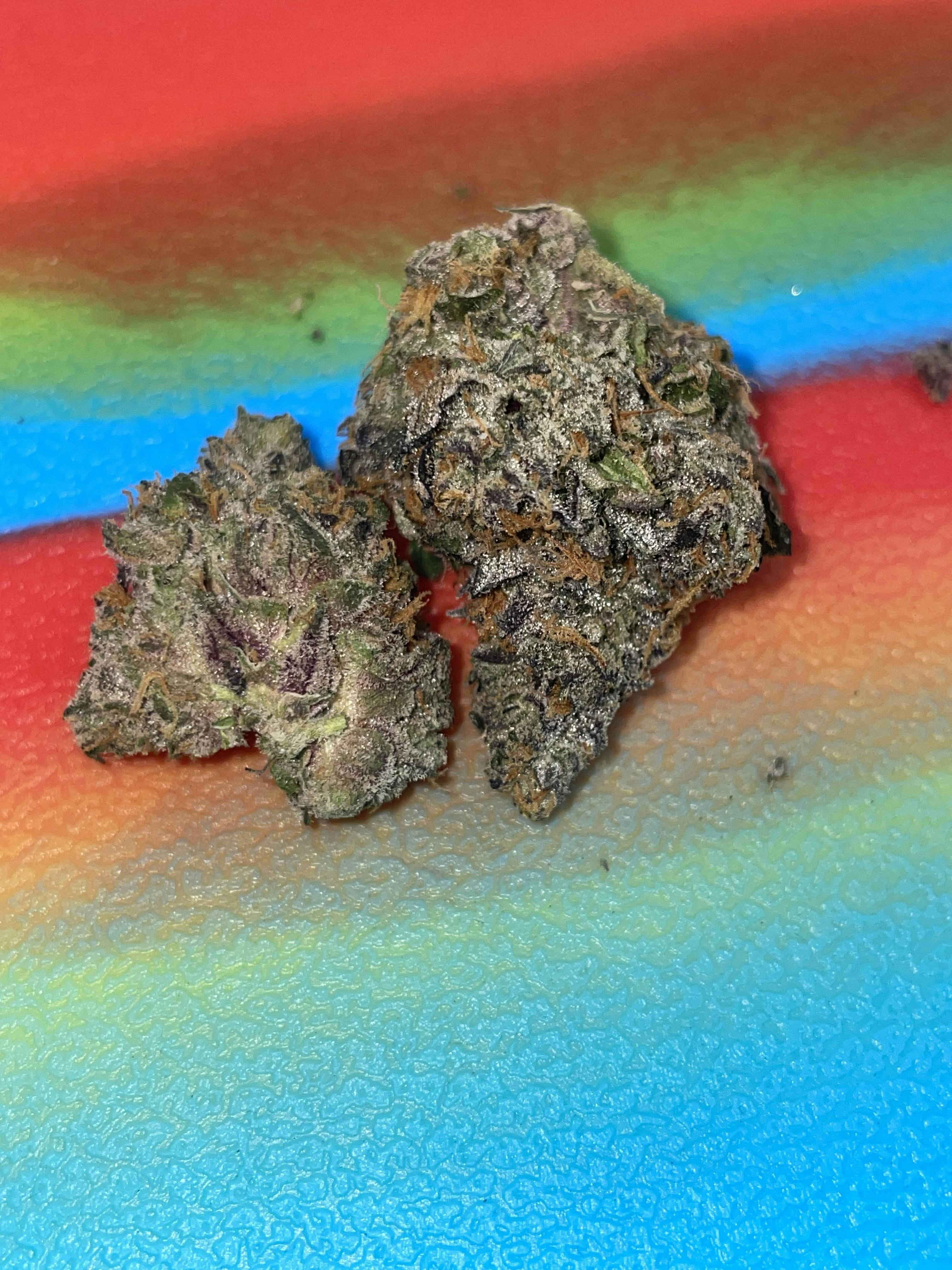 THICC: GUNNER 3.5G (MACHINE GUN JELLY X GARY PAYTON)
