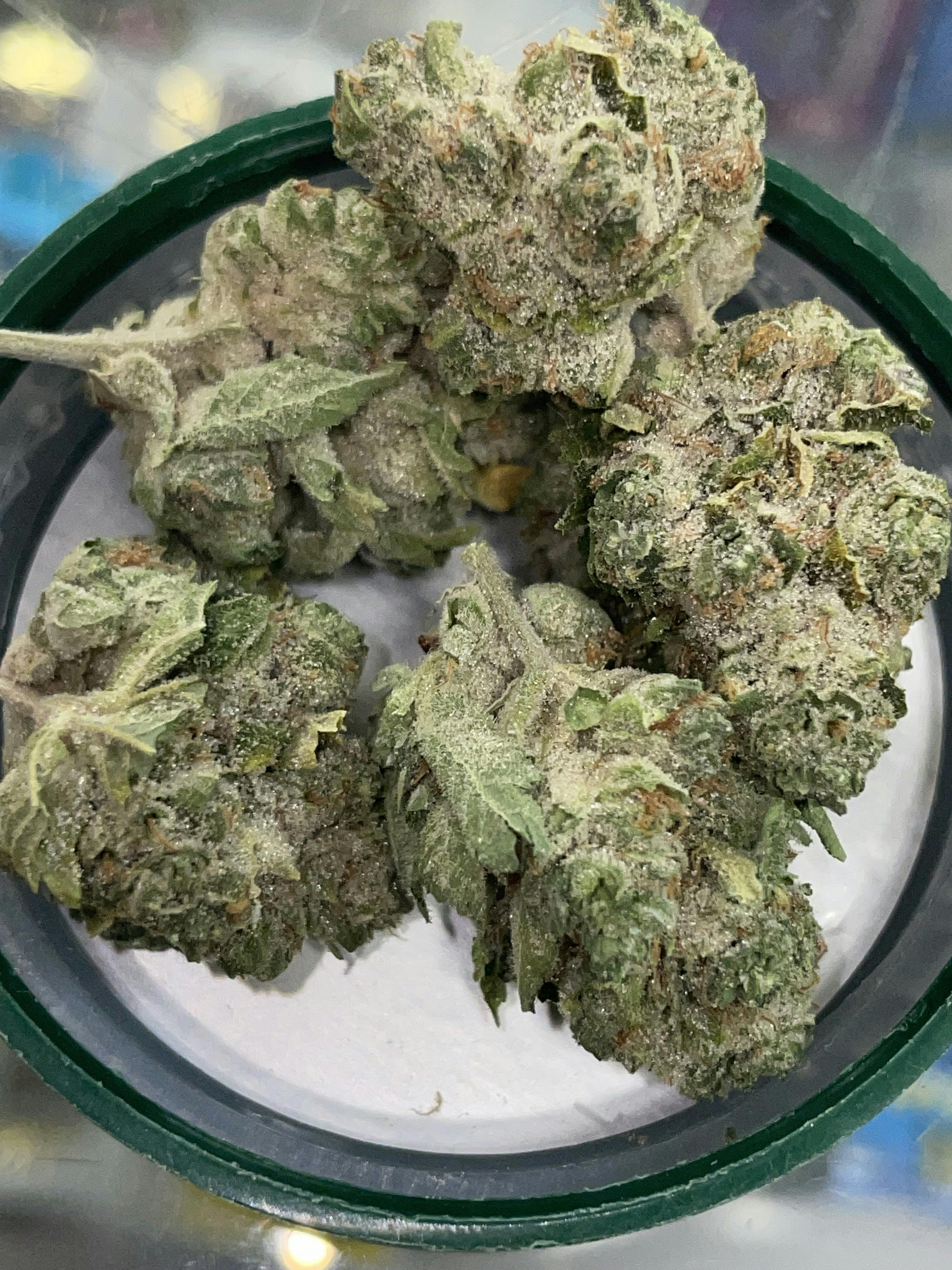 F5 Farms | Cookout (I) | Big Buds | 3.5g by F5 Farms