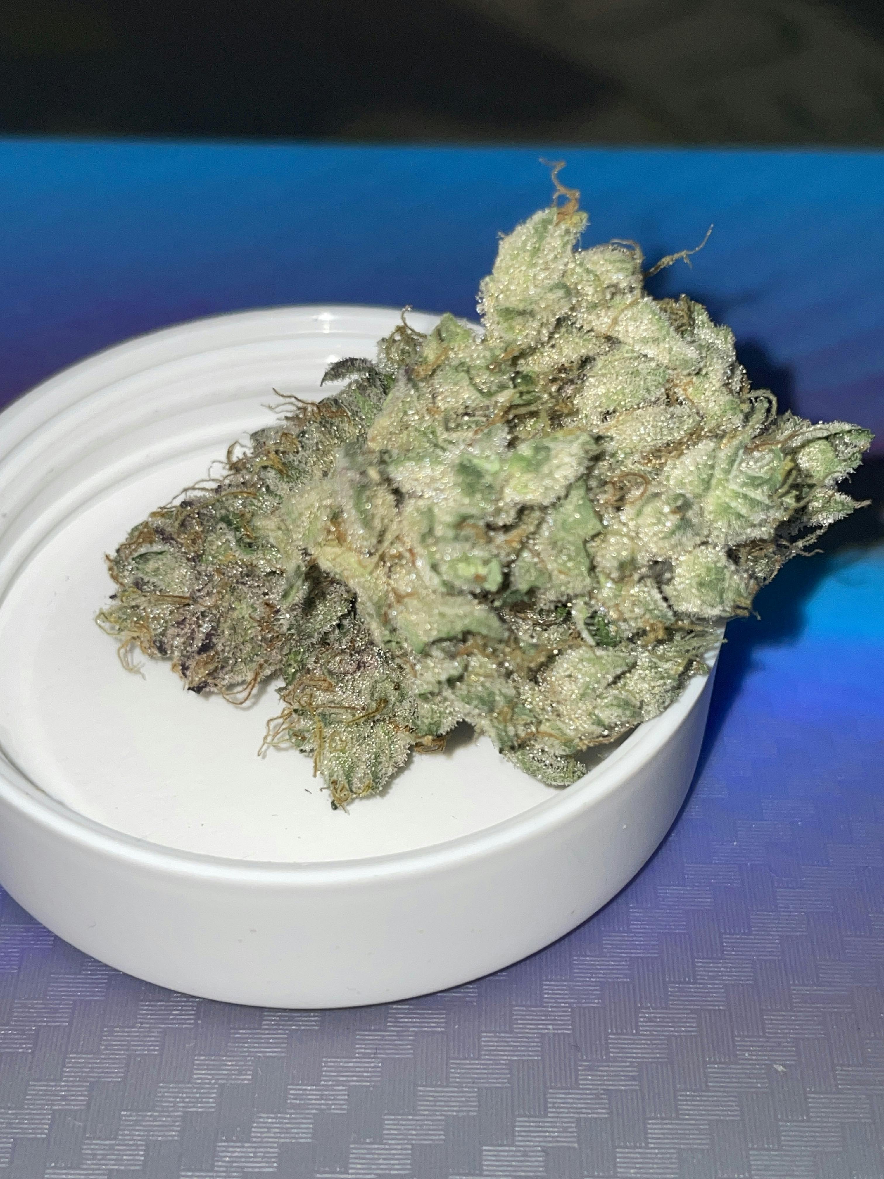 THICC: MR NASTY TIME 3.5G