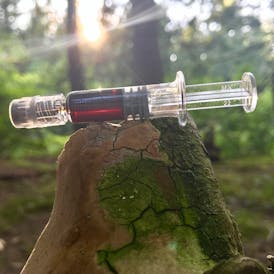 Dose - 1g Syringe - Lilac Diesel