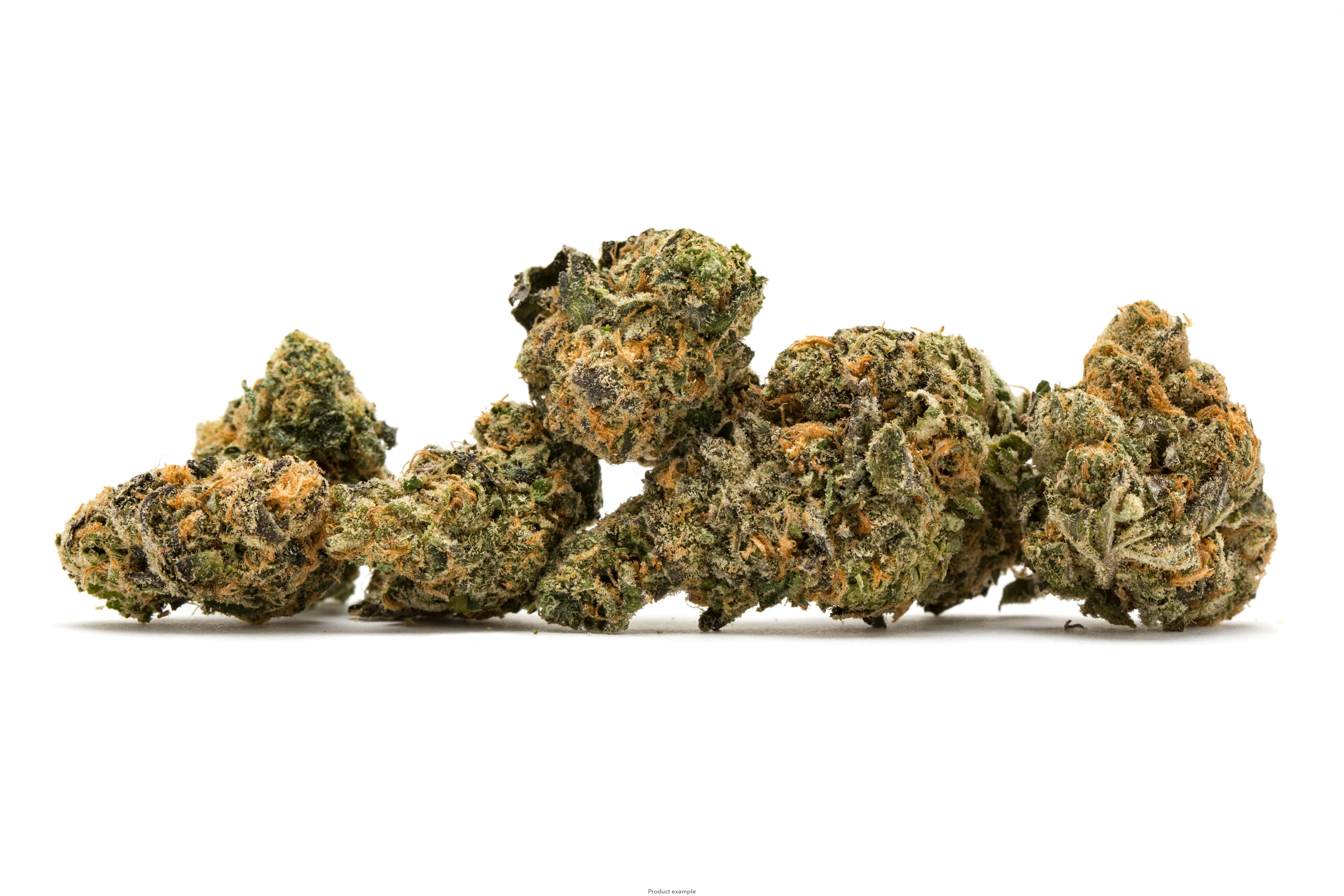 RUNTZ- Indoor-HYBRID 14G