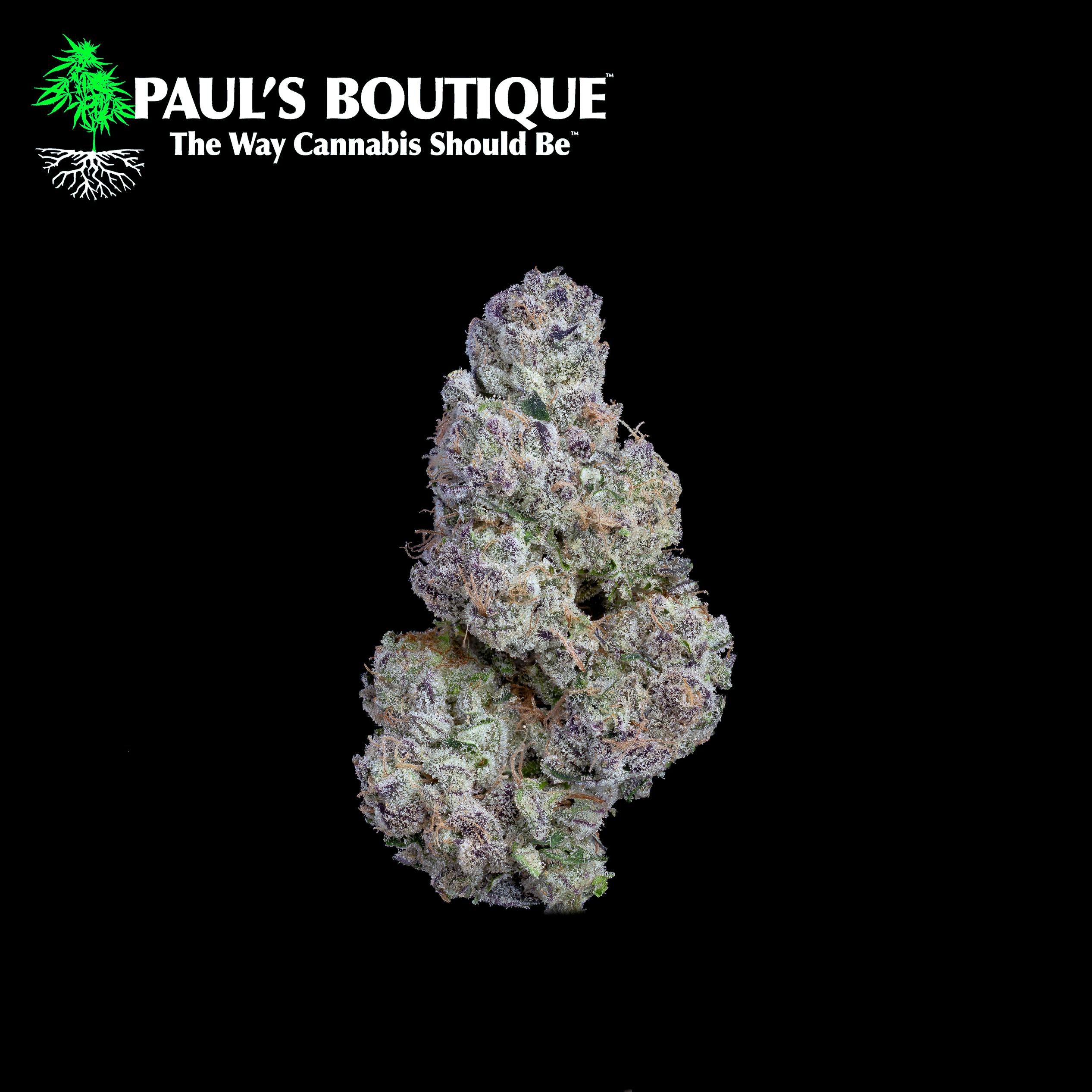 Petrol Potion Littles 1/2 Oz