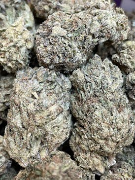 XJ-13 - $100 Oz - 27.5% - XJ13