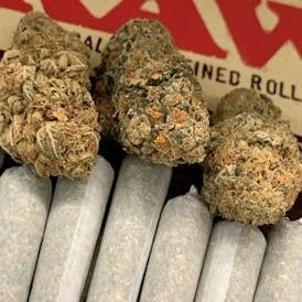 Jungle Cake - Preroll | $3 each or 10 for $20