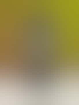 RSO Syringe (Dart) | 1 ML | Full Spectrum | Zookies | Hybrid