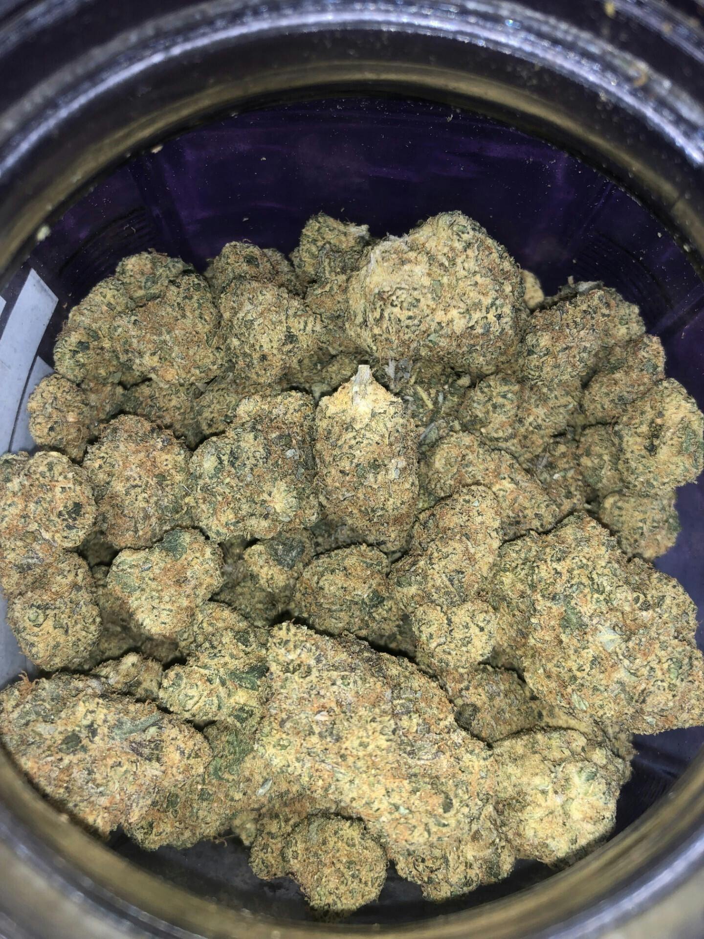 Gary Payton | 33.1% | $30 1/8 | $50 1/4 | $75 1/2 | $100 Oz Special | 3.22% Terps