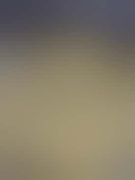 Gary Payton | 33.5% | 3.4% Terps - $100 oz Special