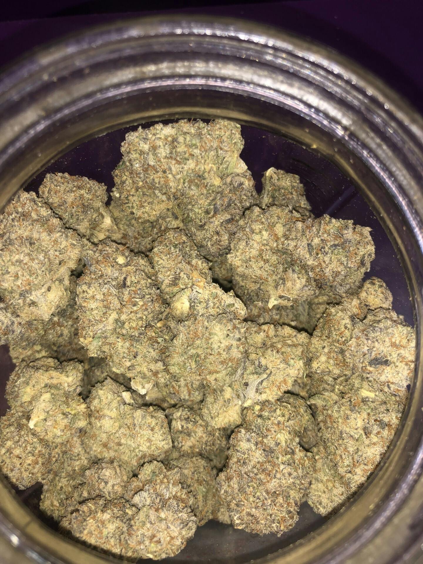 Gelato 41 | 3.2% Terps | $75 OZ | 60% Indica