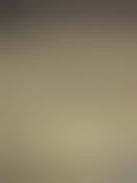 Apple and Bananas | 36.1% | 4.03% Terps | Deli Style