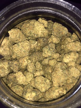 Apple Fritter - Deli Style - $100 oz | 29.8%, 3.21% Terps, .17%THC-V, .14% D8, .55% CBG -