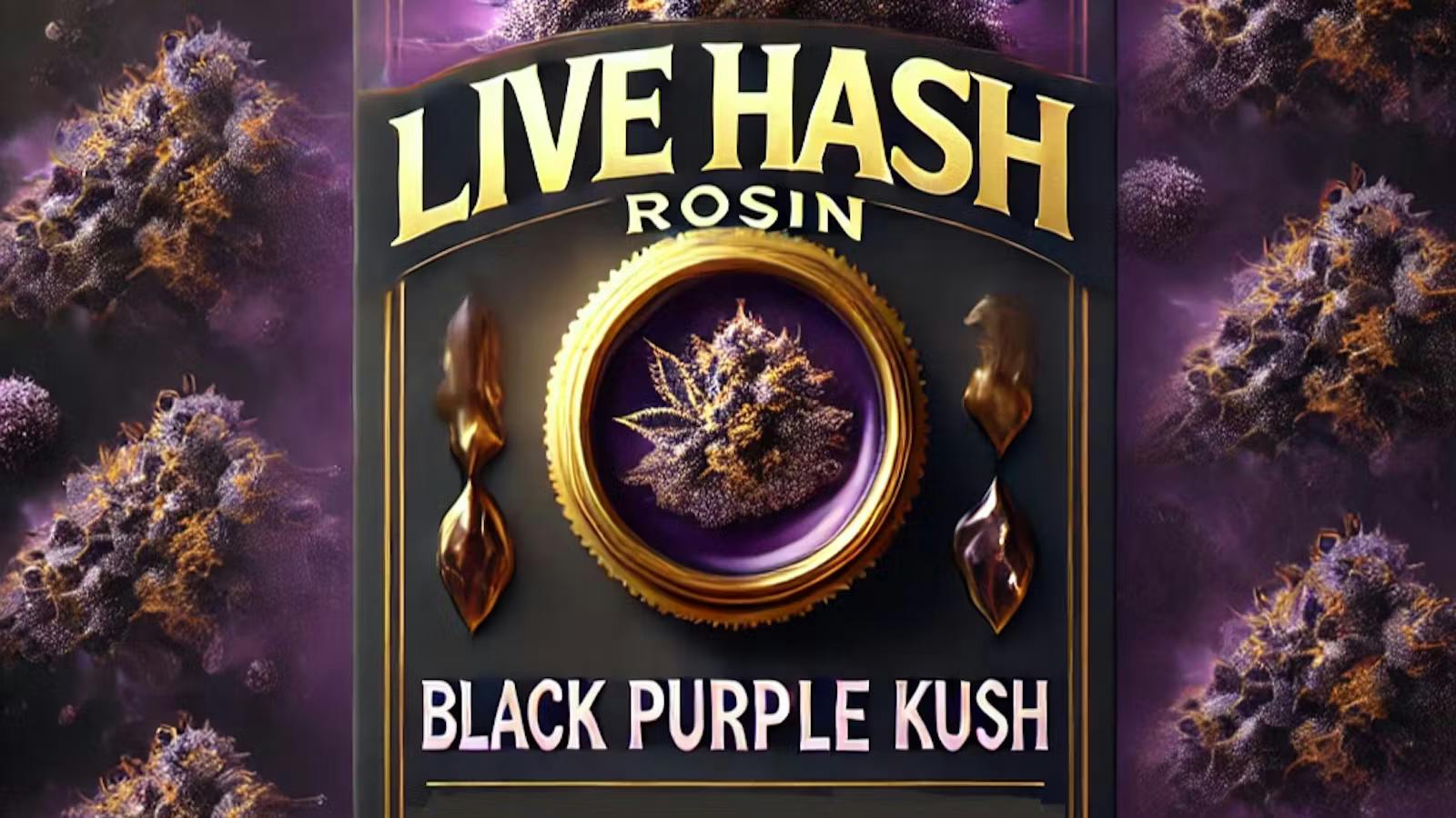 Live Hash Rosin | Solventless | LA Cherry | 1g | 5% Terps