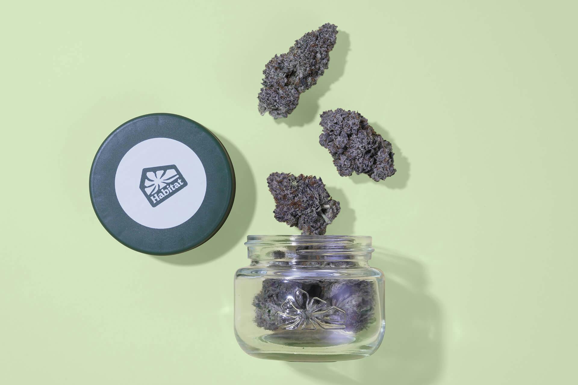 Blue Dream | Big Buds | 3.5g by Habitat