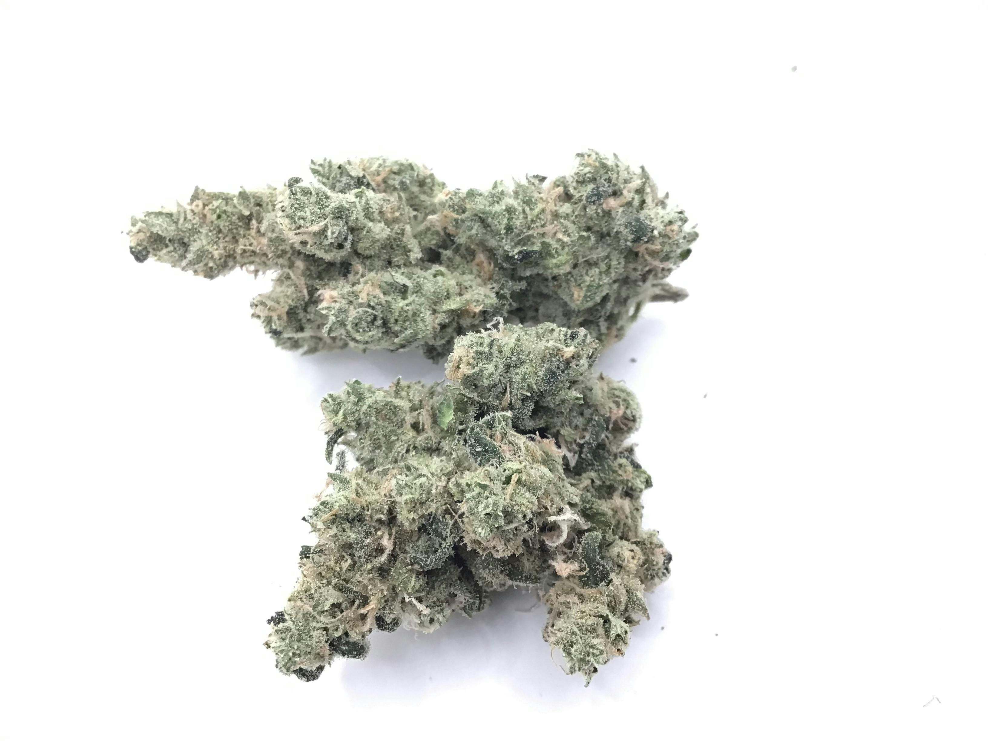 Blue Dream Supreme by Highland Farms Nursery