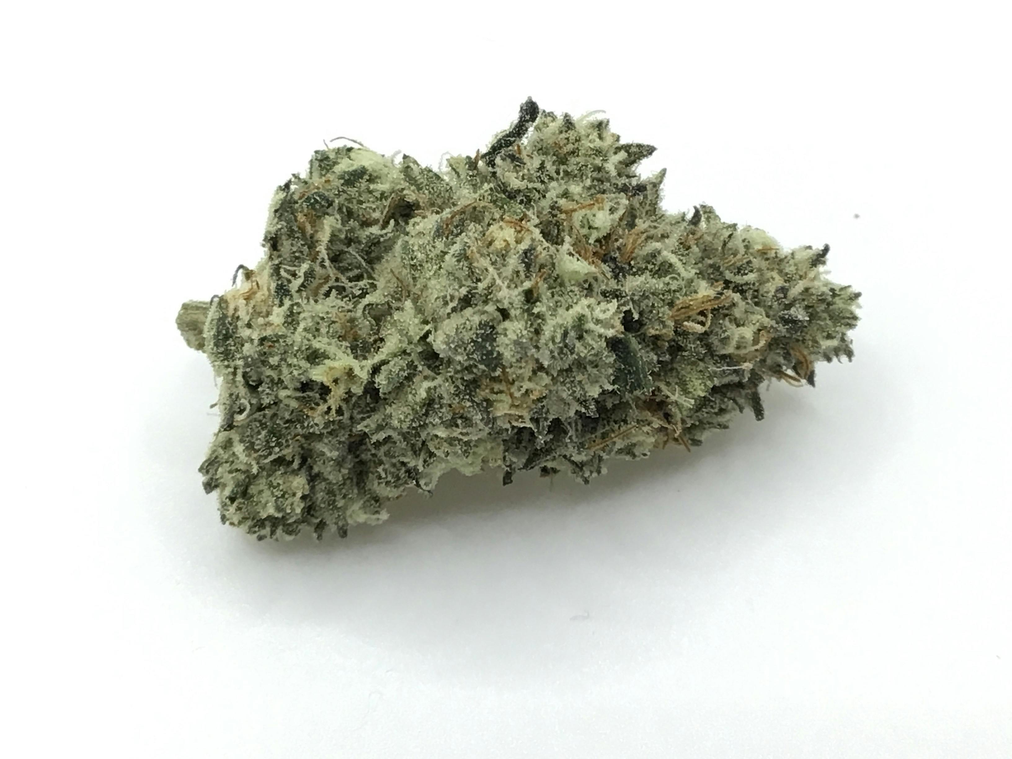 Apple of my Eye by Highland Farms Nursery