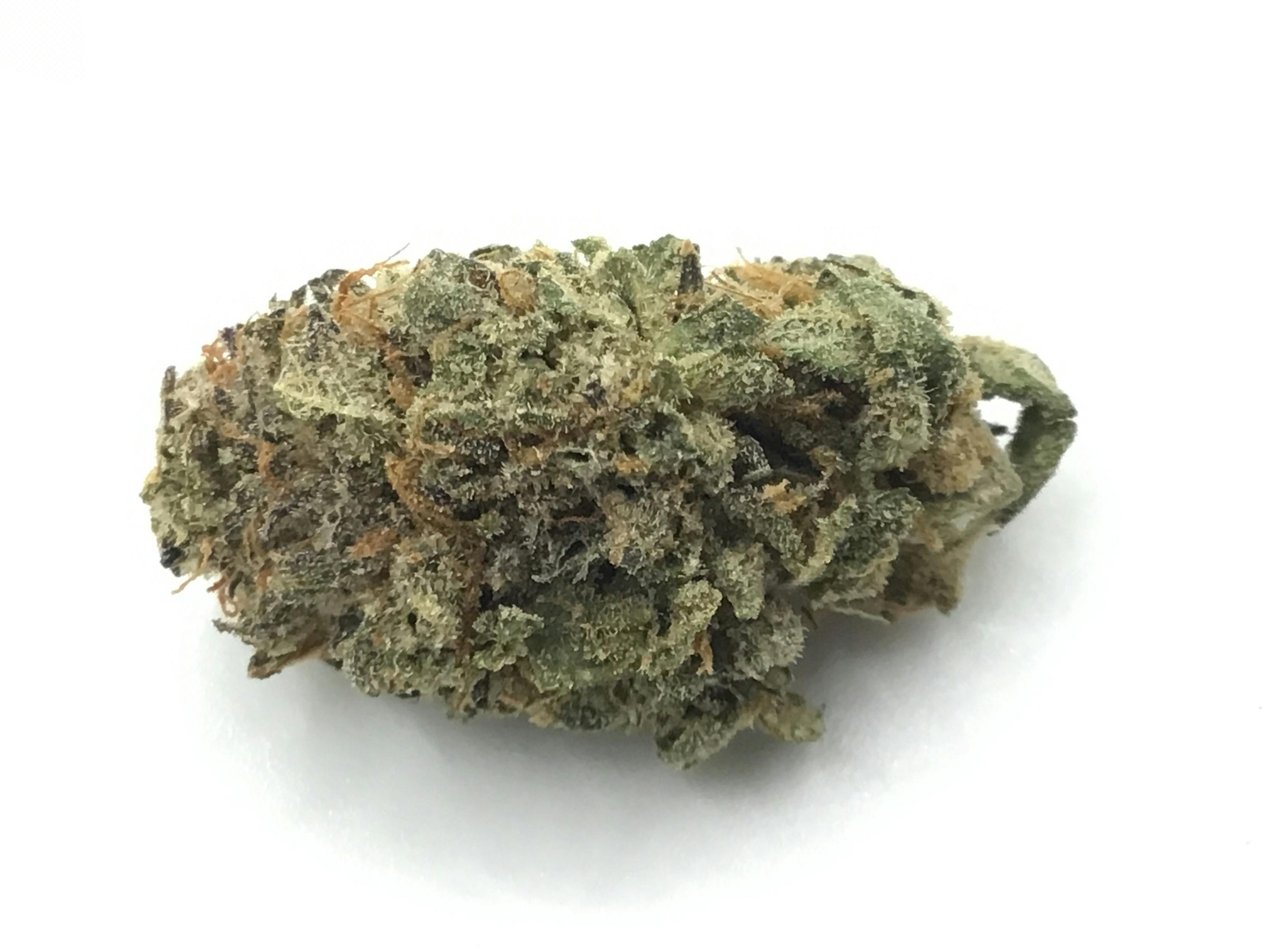 1/2oz Grasshopper by Golden Nugget