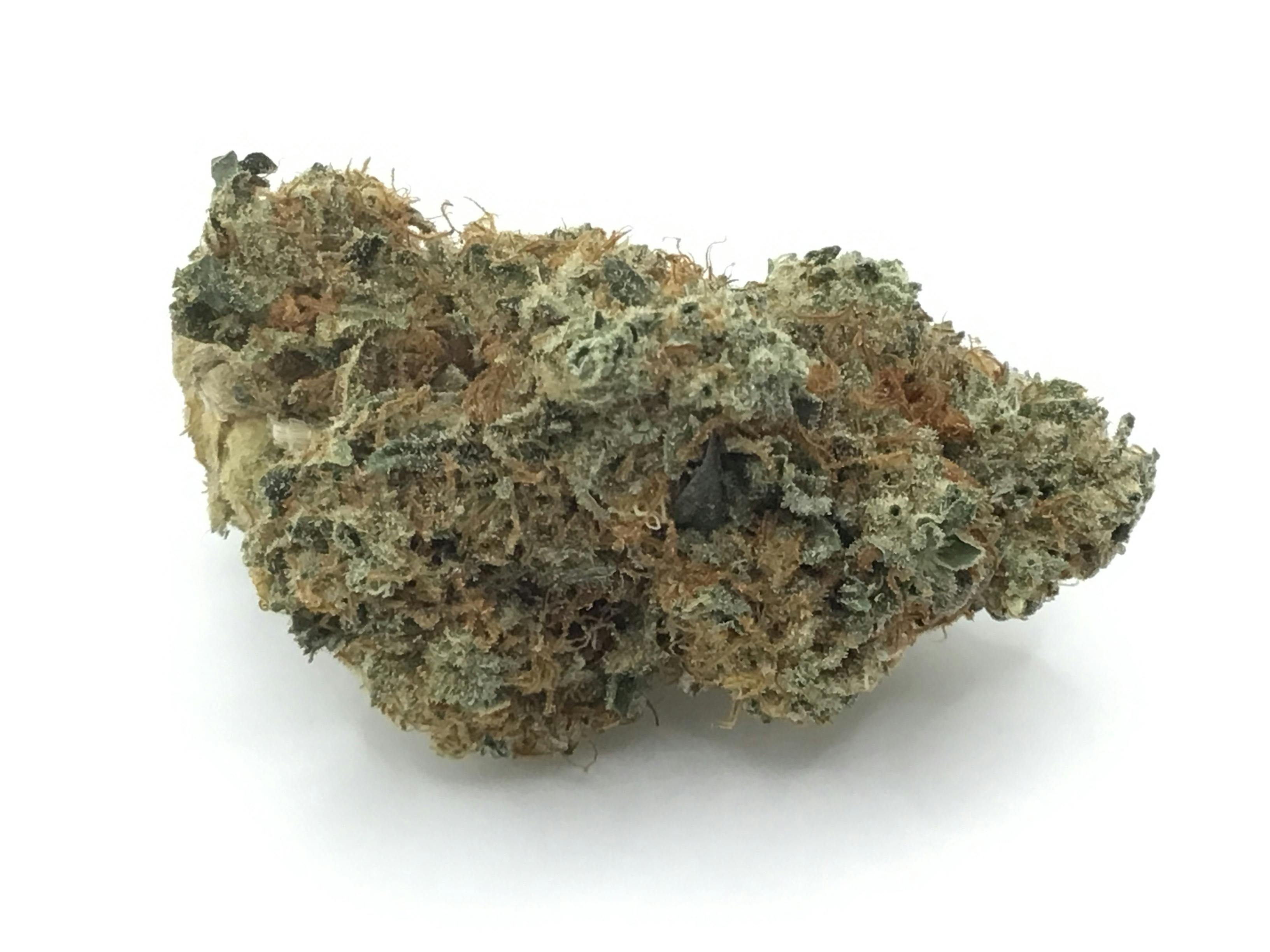 Pistachio by Current Myth