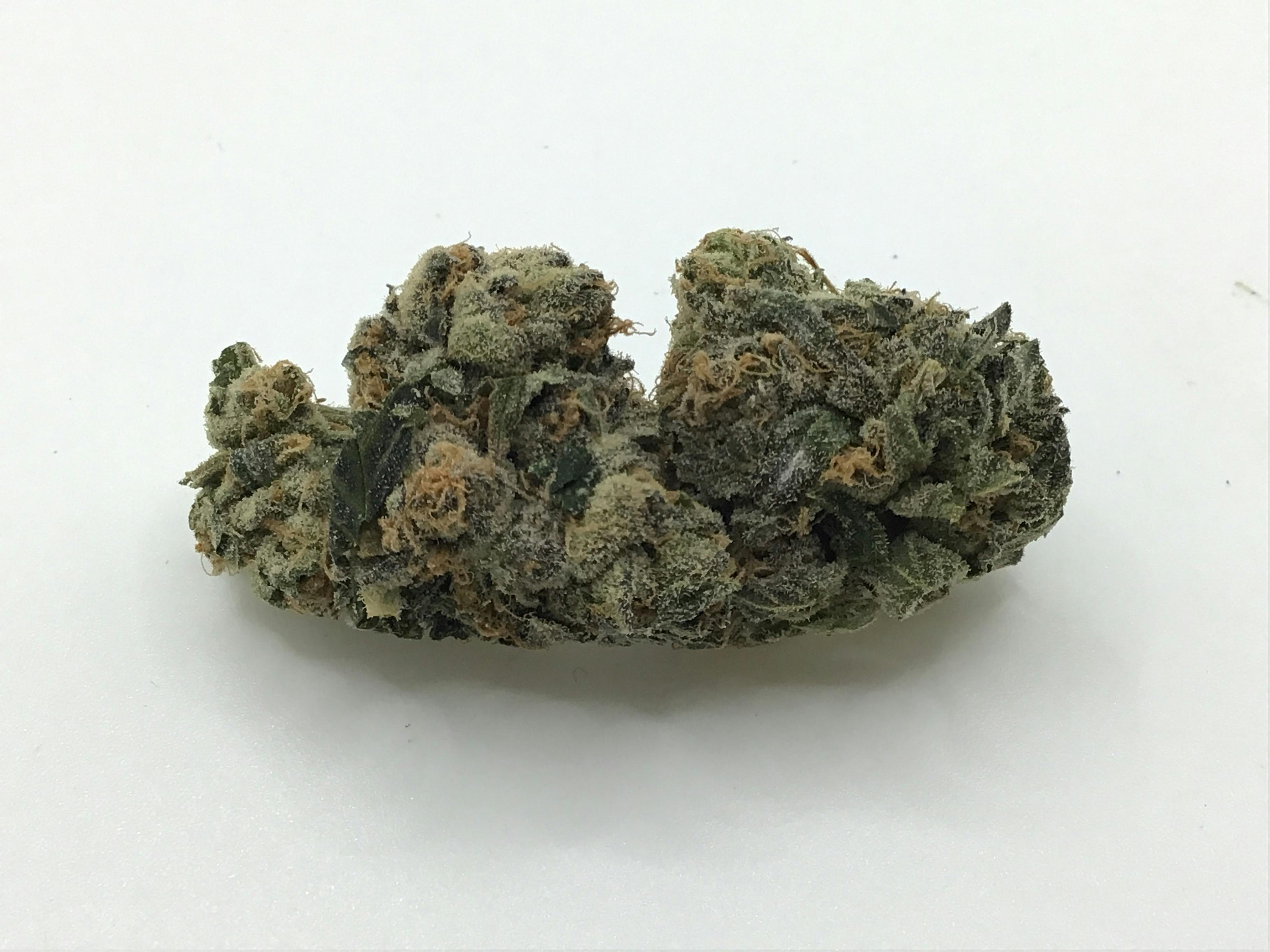 1/2oz Raunchy Runtz by Golden Nugget