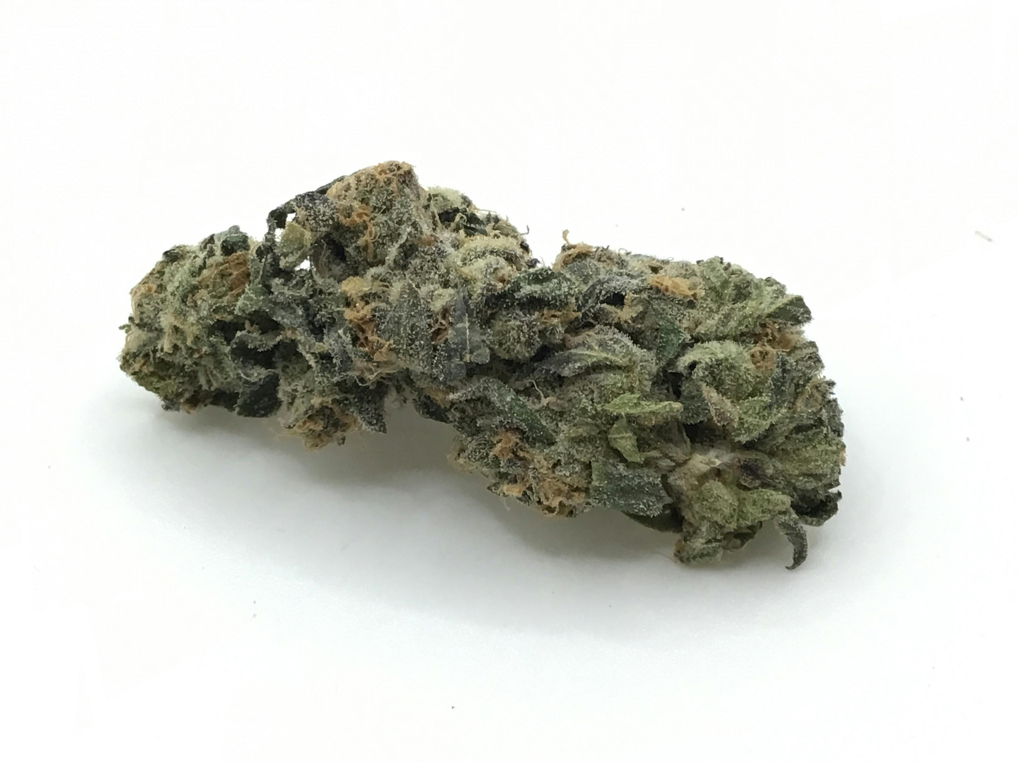 1oz Raunchy Runtz by Golden Nugget