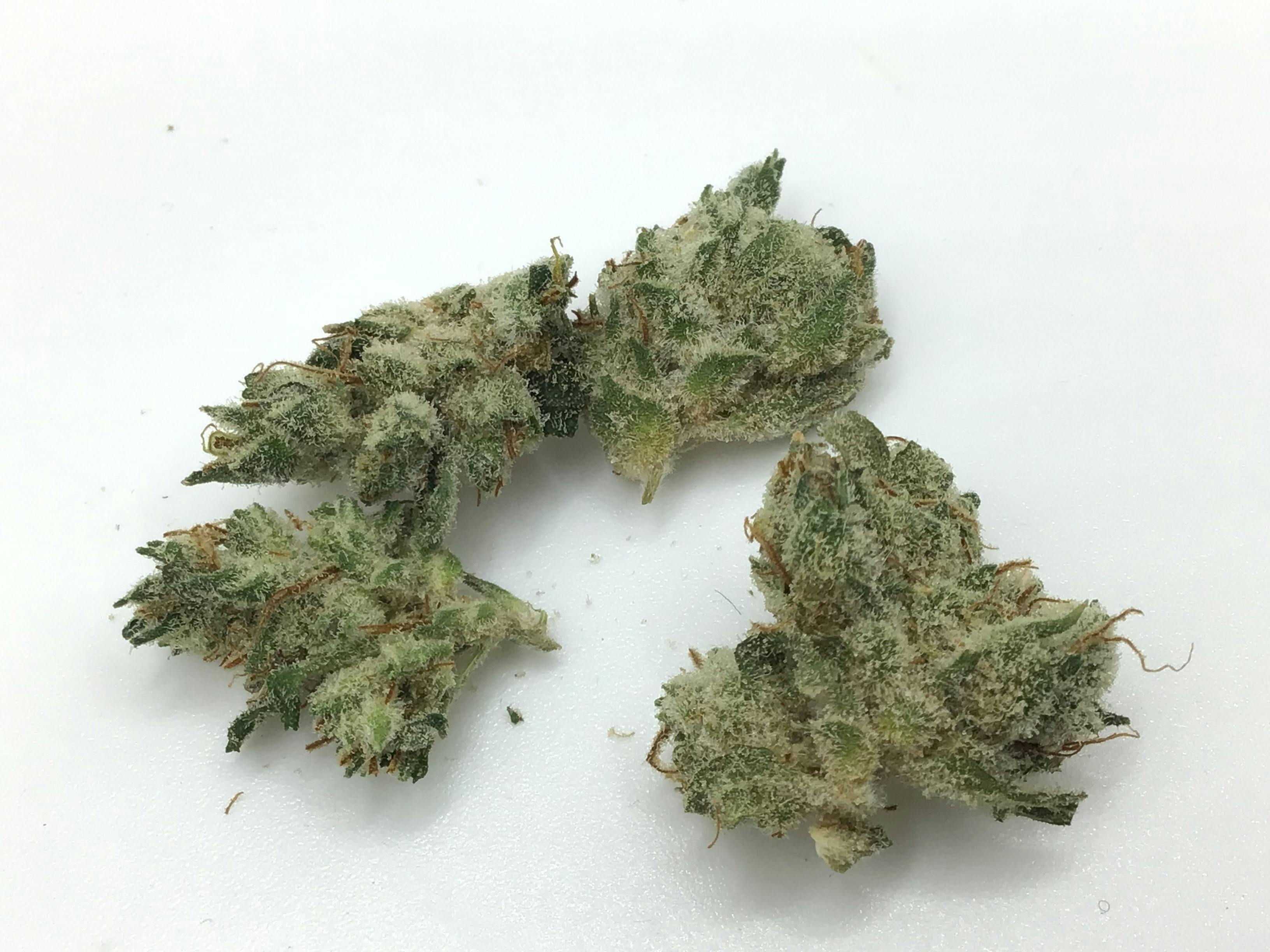 1oz Lime OG Smalls by Crooked Jaw Farms