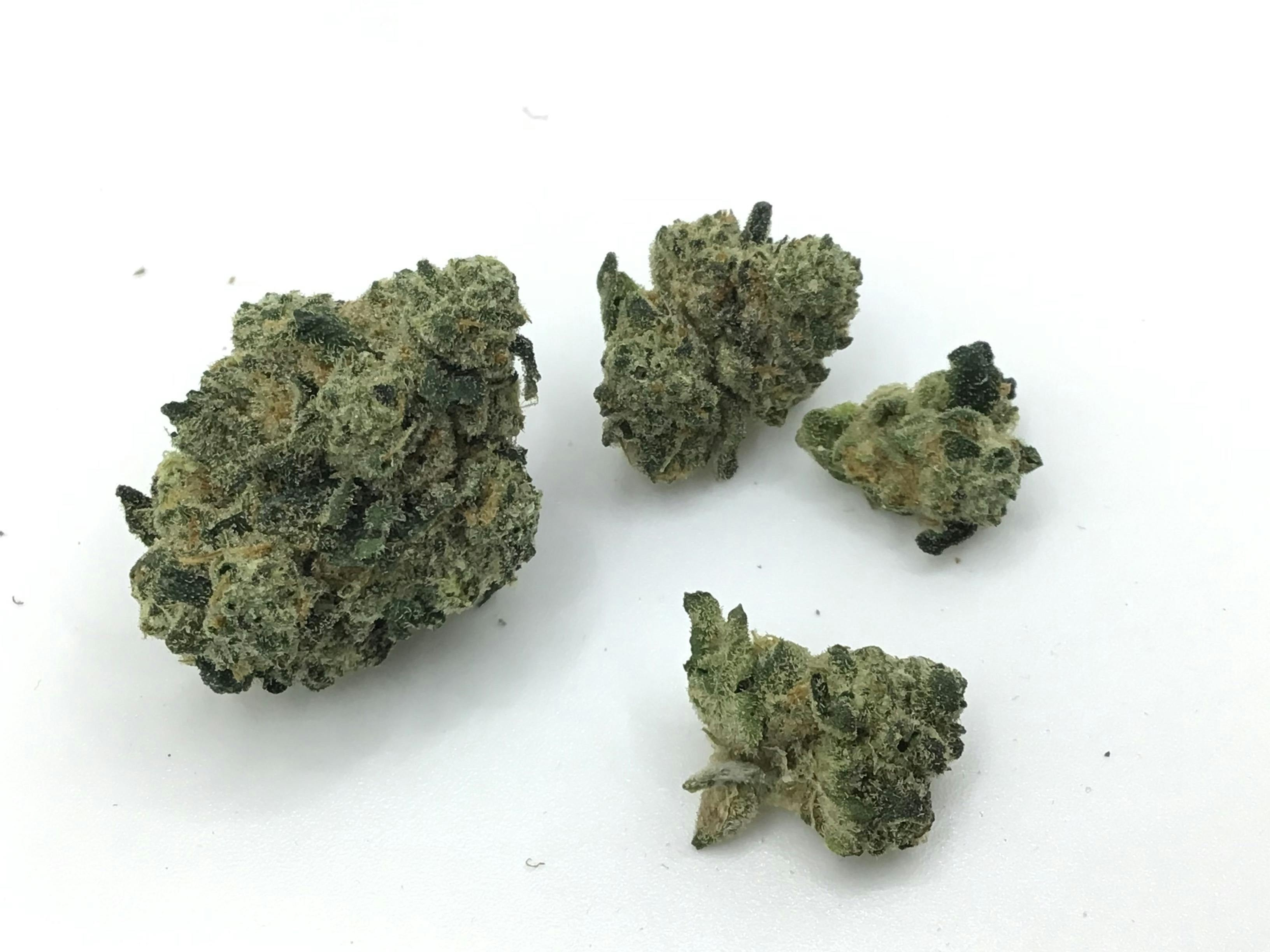 1/2oz. Blue Zipper by Holistic Wellness