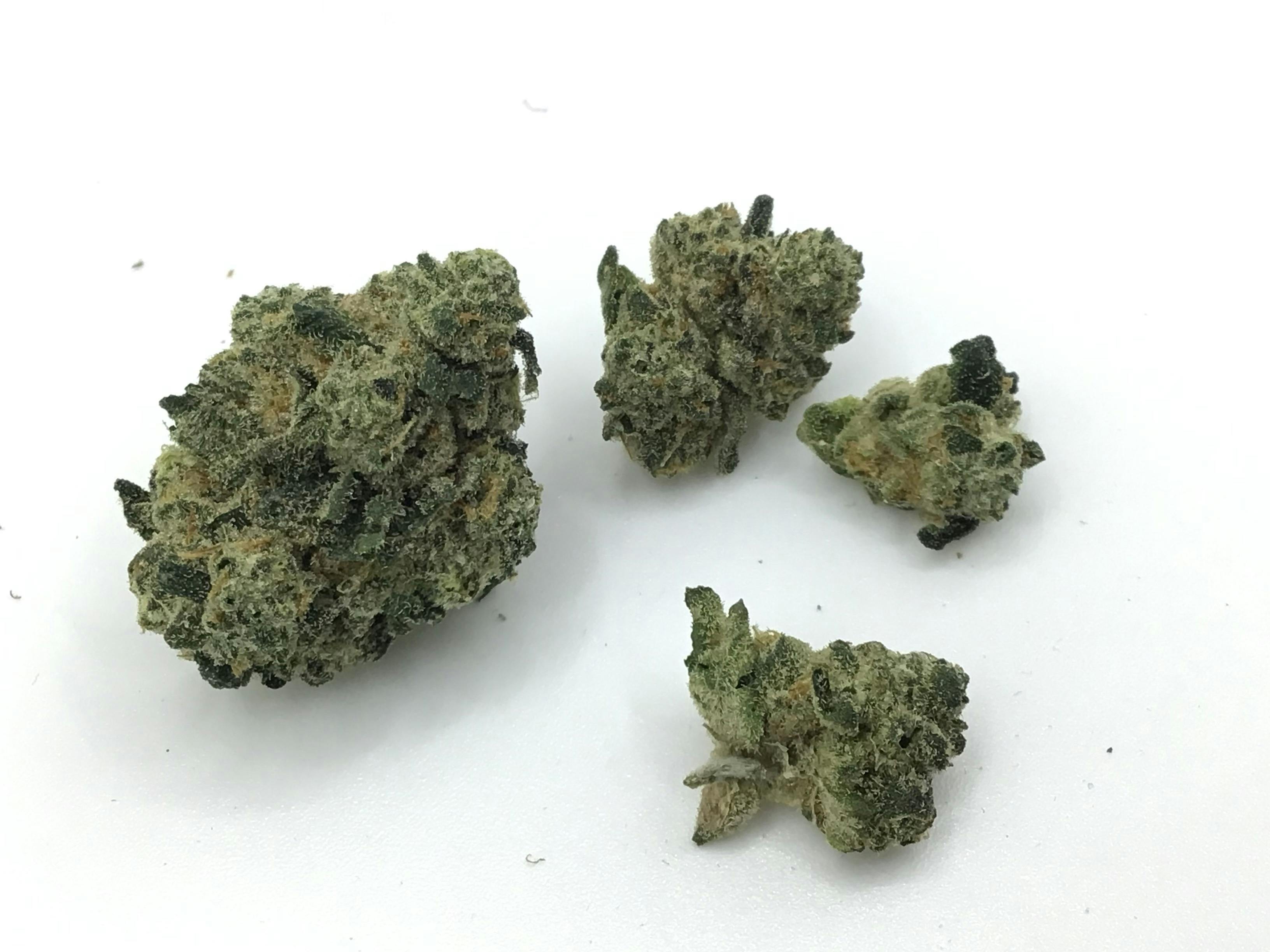 1oz. Blue Zipper by Holistic Wellness