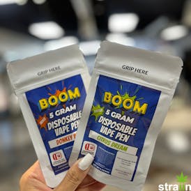 Boom - Citrus Dream - 5g Disposable