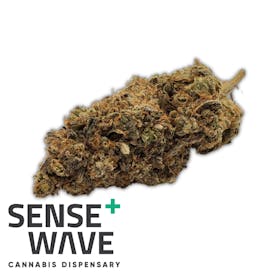 Blue Dream Flower - [PREMIUM]