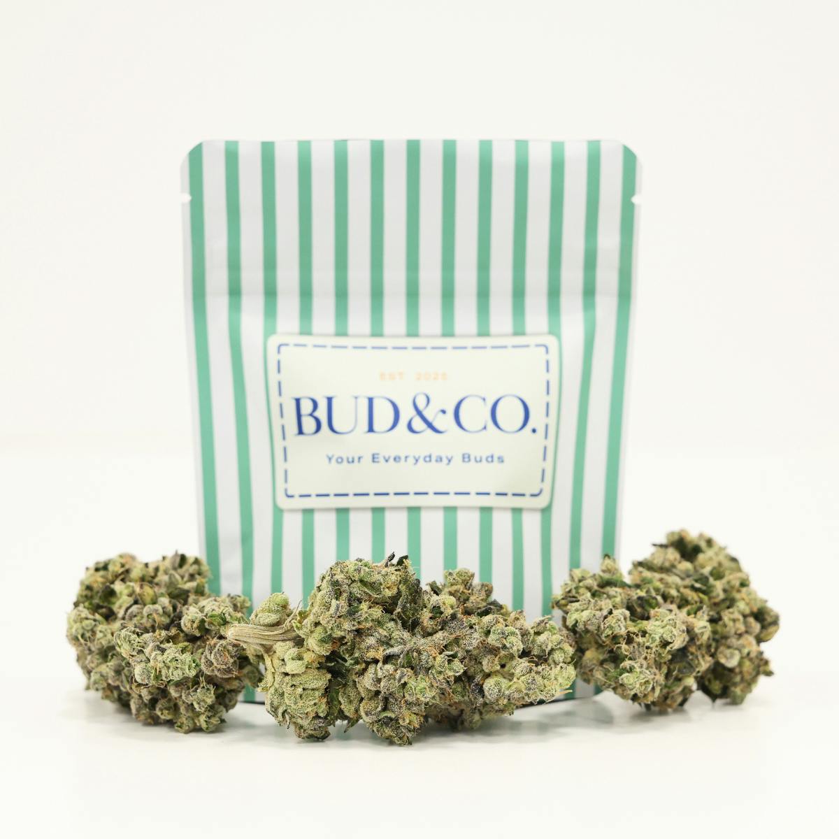 Bionic Cheetah 7g, Independence