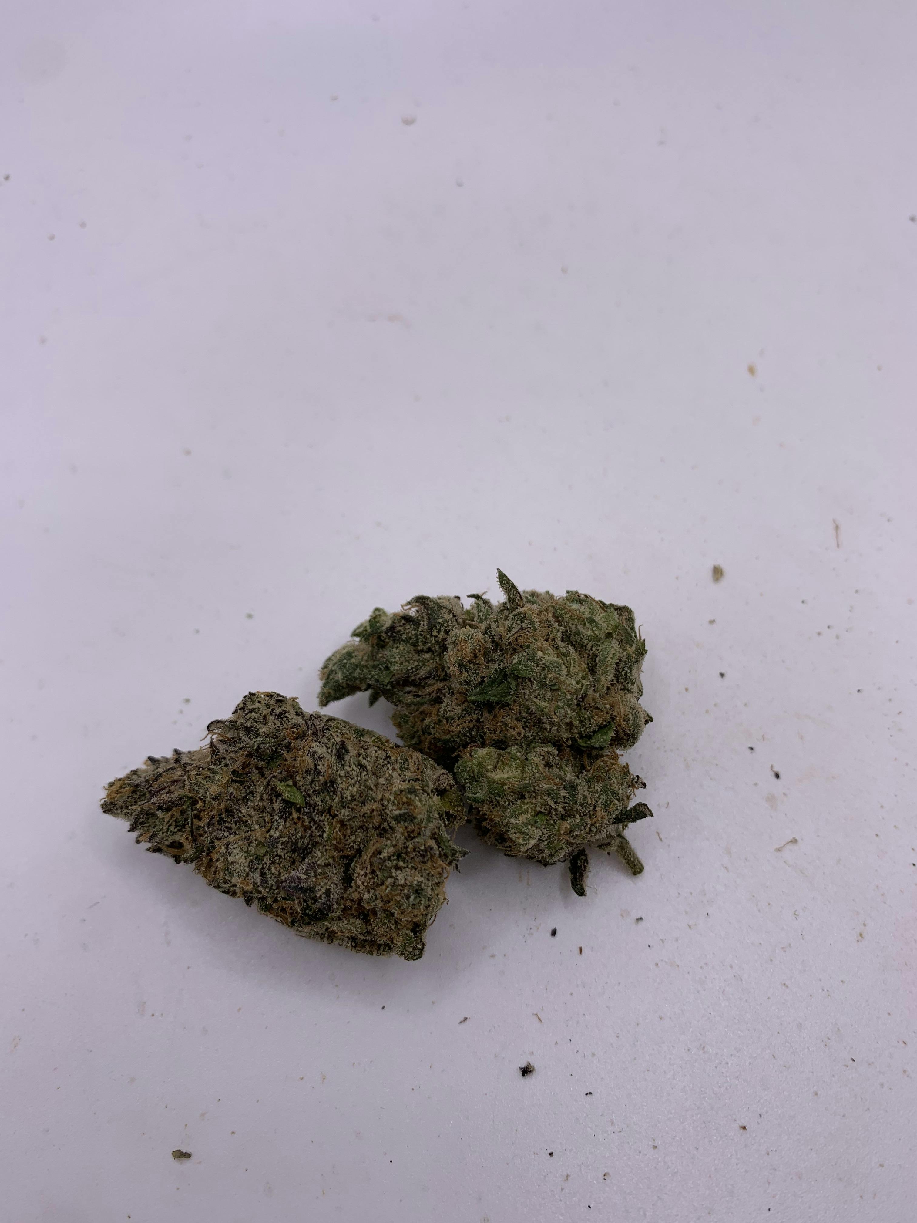 Bluzooka