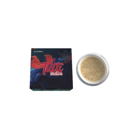 TUTTI - SIEVED — Northern Lights