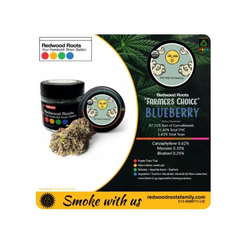 REDWOOD ROOTS FAMILY — Farmer S Choice Blueberry By Wild Weed Botanicals