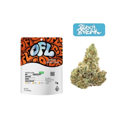 OAKFRUITLAND - — Beach Break
