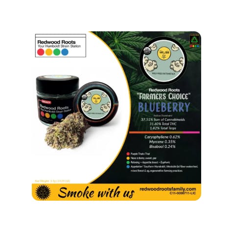 REDWOOD ROOTS FAMILY — Farmer S Choice Blueberry By Wild Weed Botanicals