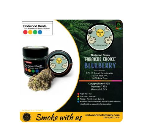 REDWOOD ROOTS FAMILY - FARMER'S CHOICE FLOWER [3.5G] BLUEBERRY BY WILD WEED BOTANICALS