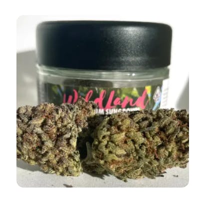 WILDLAND CANNABIS -: GSC