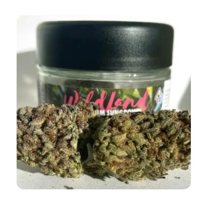 WILDLAND CANNABIS -: Golden Sands