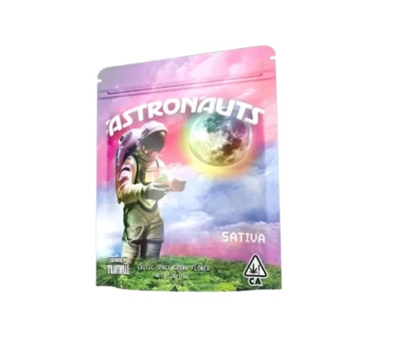 Astronauts: Space Sour