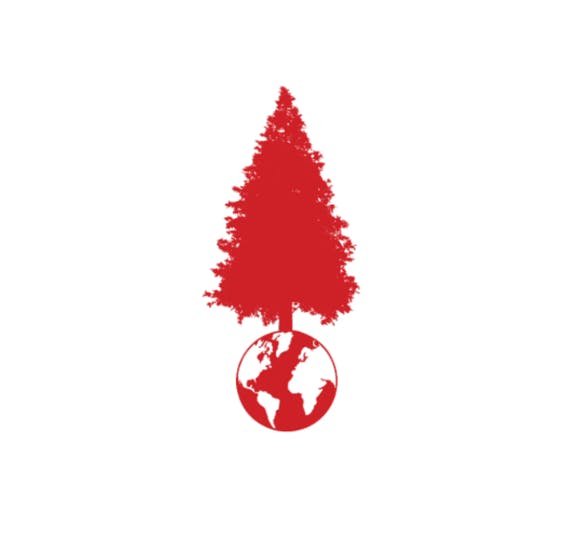 Big Tree: Runtz
