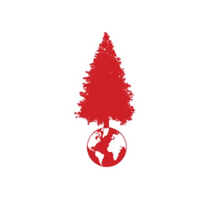 Big Tree: Runtz
