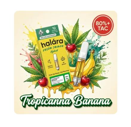 HALARA EXTRACTS -: Tropicanna Banana