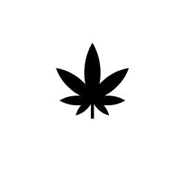 Apple Fritter x C99