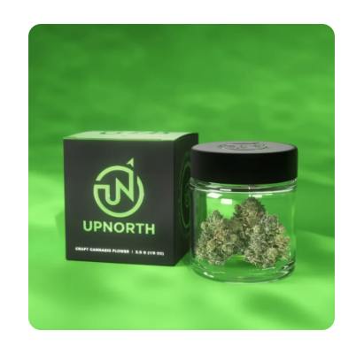 UpNorth: Northern Lights